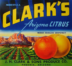 Vintage grapefruit crate label