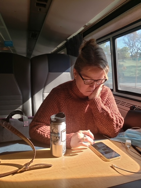 Middle aged white woman wearing glasses and a thick orange sweater used her phone, while seated on a moving train, in sunlight.